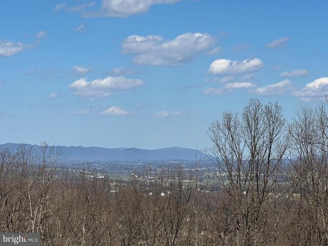 152 Susan Ln, Stanley, VA 22851 - view of mountain backdrop