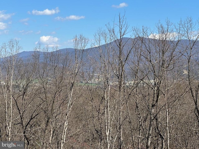 152 Susan Ln, Stanley, VA 22851 - mountain view