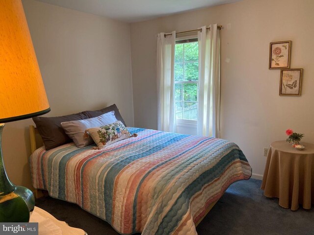 5224 Mcmanus Dr, Fredericksburg, VA 22407 - photo 14