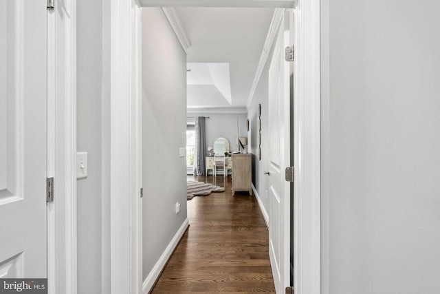 10605 Springvale Ln, Spotsylvania, VA 22551 - corridor featuring ornamental molding, dark wood-style floors, and baseboards