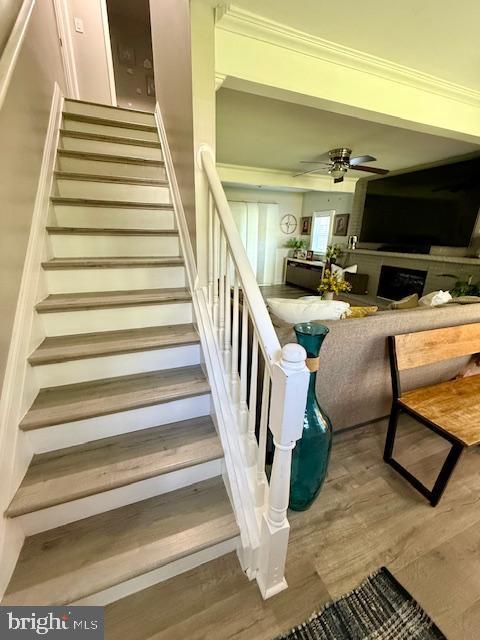 stairway featuring wood finished floors, a ceiling fan, and crown molding