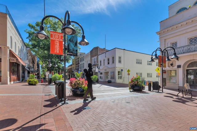 1103 Druid Ave Unit D, Charlottesville, VA 22902 - view of decorative road featuring street lighting, sidewalks, and curbs