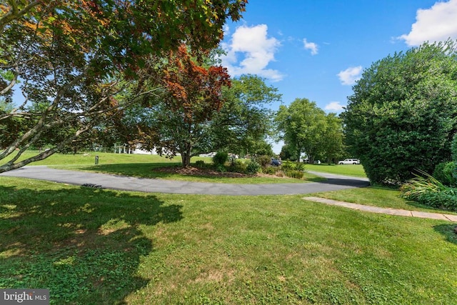 17417 Hawthorne Ave, Culpeper, VA 22701 - view of community with a yard