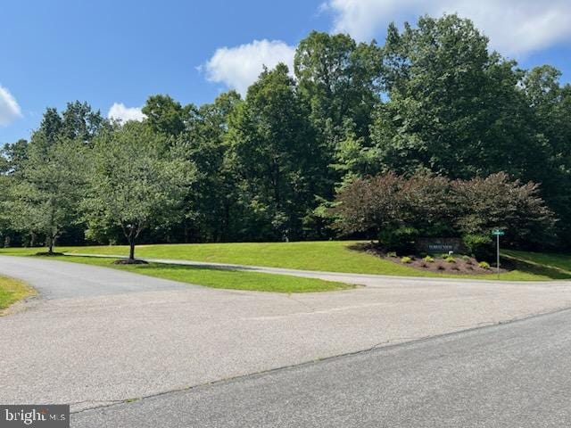 684 Pine Crest Dr, Troy, VA 22974 - photo 5