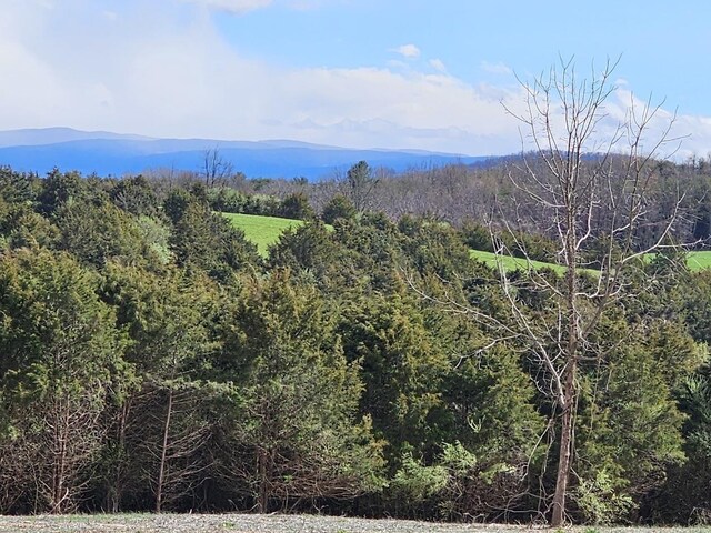 LOT5 Berry Farm Rd, Staunton, VA 24401 - photo 15