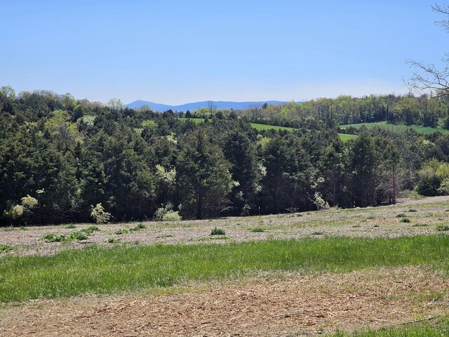 LOT5 Berry Farm Rd, Staunton, VA 24401 - photo 17