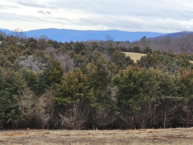 LOT5 Berry Farm Rd, Staunton, VA 24401 - photo 13