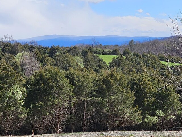 LOT5 Berry Farm Rd, Staunton, VA 24401 - photo 23