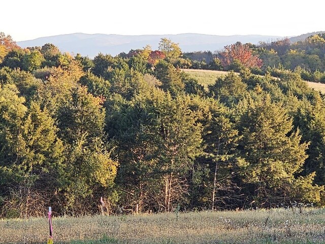 LOT5 Berry Farm Rd, Staunton, VA 24401 - photo 10