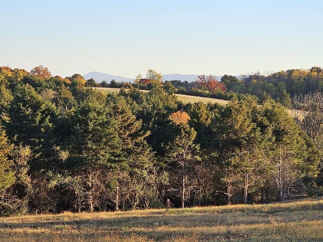 LOT5 Berry Farm Rd, Staunton, VA 24401 - photo 22