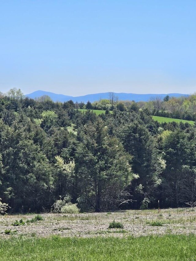 LOT5 Berry Farm Rd, Staunton, VA 24401 - photo 16