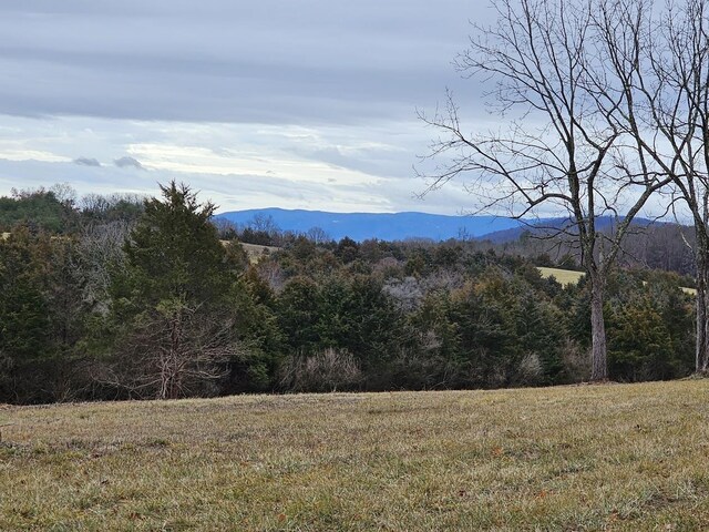 LOT5 Berry Farm Rd, Staunton, VA 24401 - photo 11