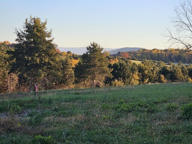 LOT5 Berry Farm Rd, Staunton, VA 24401 - photo 18