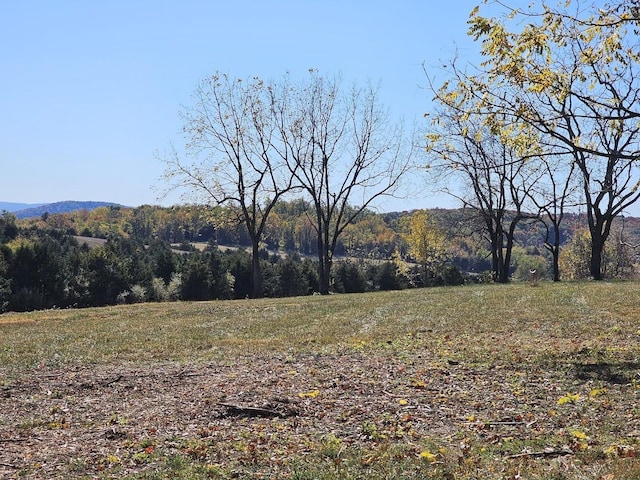 LOT5 Berry Farm Rd, Staunton, VA 24401 - photo 8
