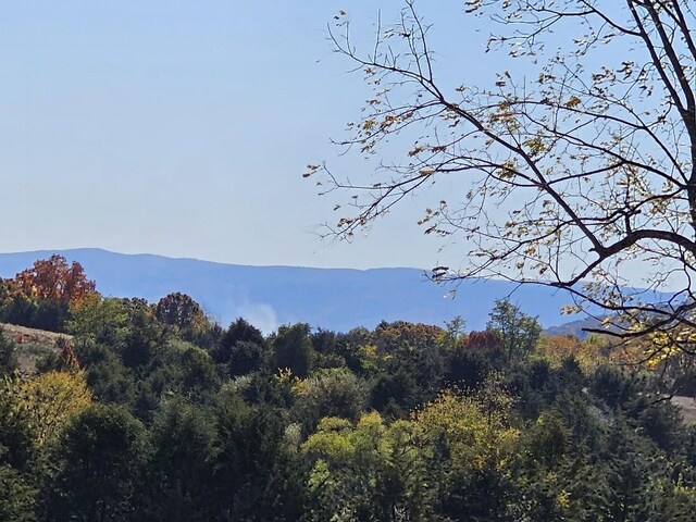 LOT5 Berry Farm Rd, Staunton, VA 24401 - photo 9