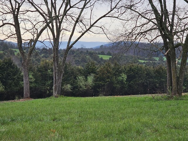 LOT5 Berry Farm Rd, Staunton, VA 24401 - photo 7