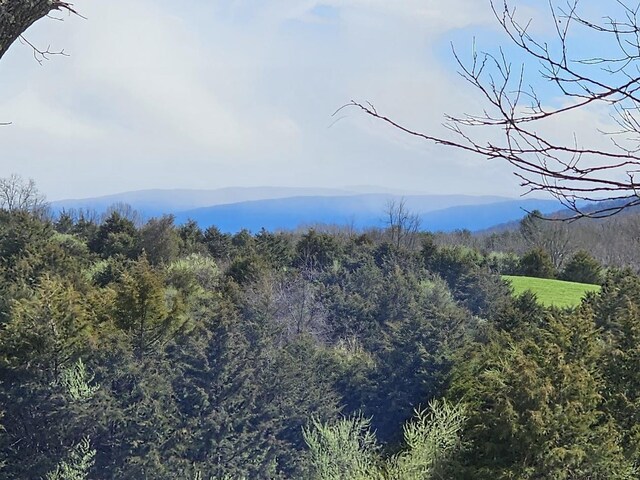 LOT5 Berry Farm Rd, Staunton, VA 24401 - photo 14