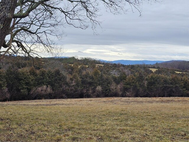 LOT5 Berry Farm Rd, Staunton, VA 24401 - photo 12