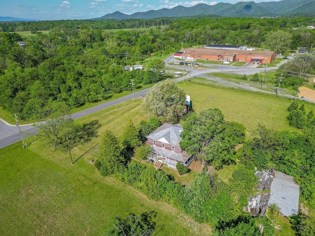 506 Williams Ave, Shenandoah, VA 22849 - view of property location featuring a heavily wooded area and mountains