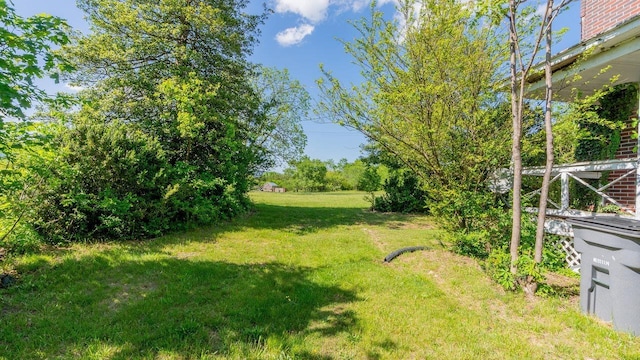 506 Williams Ave, Shenandoah, VA 22849 - view of grassy yard