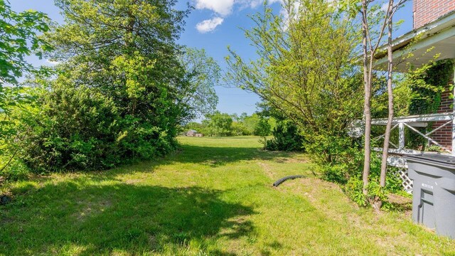 506 Williams Ave, Shenandoah, VA 22849 - view of grassy yard