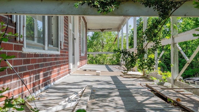 506 Williams Ave, Shenandoah, VA 22849 - view of patio