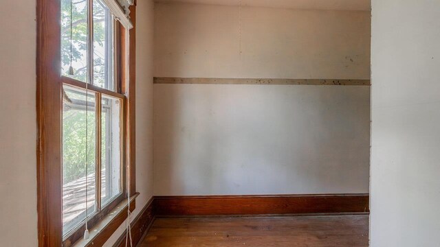 506 Williams Ave, Shenandoah, VA 22849 - empty room featuring plenty of natural light and wood finished floors
