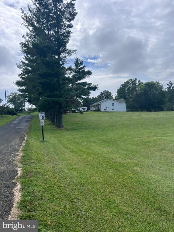  - view of grassy yard