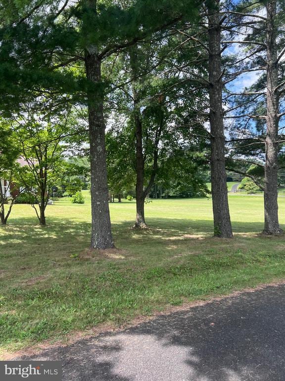  - view of grassy yard