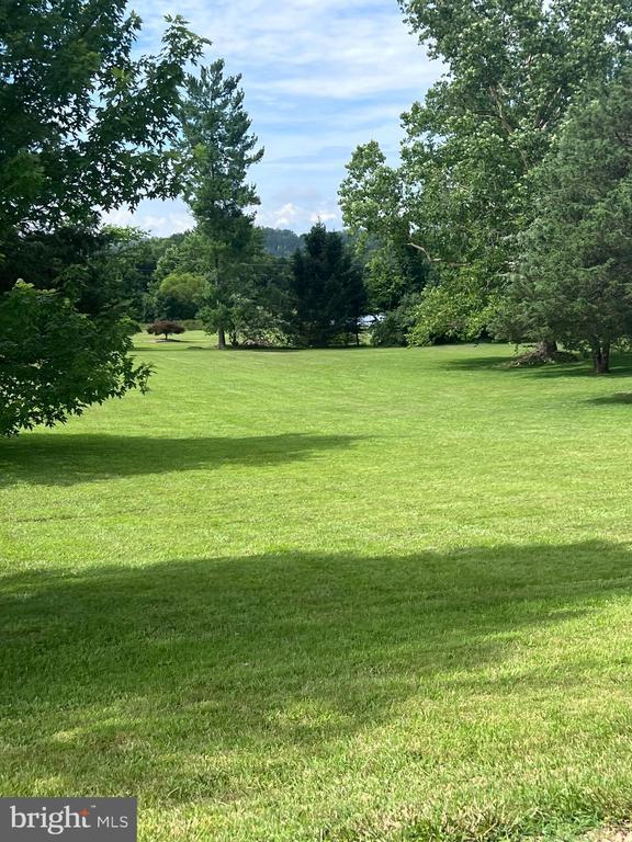  - view of green lawn
