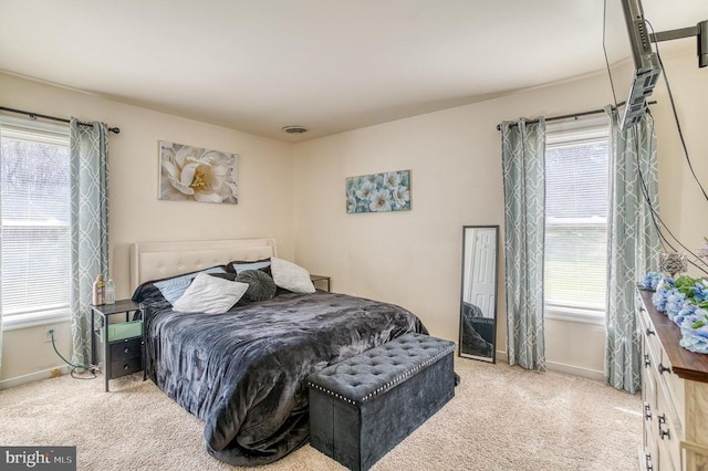 10119 Jameson Ln, Culpeper, VA 22701 - carpeted bedroom with baseboards