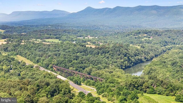 10312 US Highway 340n, Rileyville, VA 22650 - photo 62