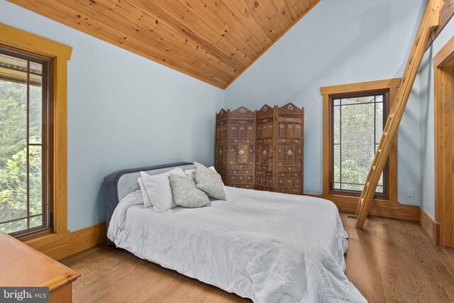 10312 US Highway 340n, Rileyville, VA 22650 - photo 52