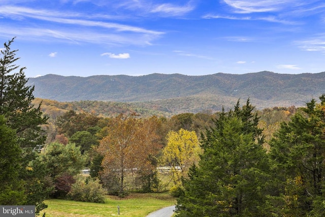 10312 US Highway 340n, Rileyville, VA 22650 - mountain view with a forest