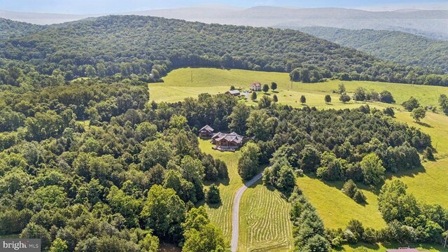 10312 US Highway 340n, Rileyville, VA 22650 - photo 75