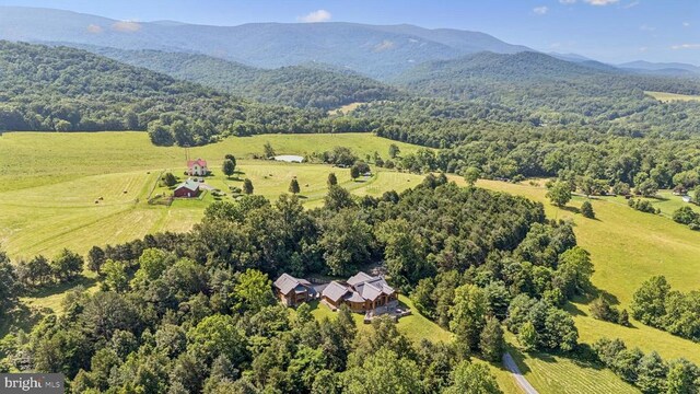 10312 US Highway 340n, Rileyville, VA 22650 - photo 65