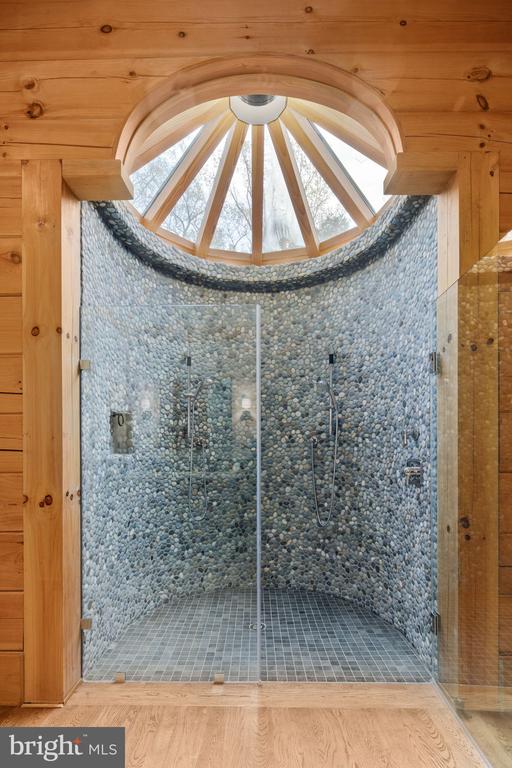 10312 US Highway 340n, Rileyville, VA 22650 - full bathroom with a shower stall, healthy amount of natural light, and wood finished floors
