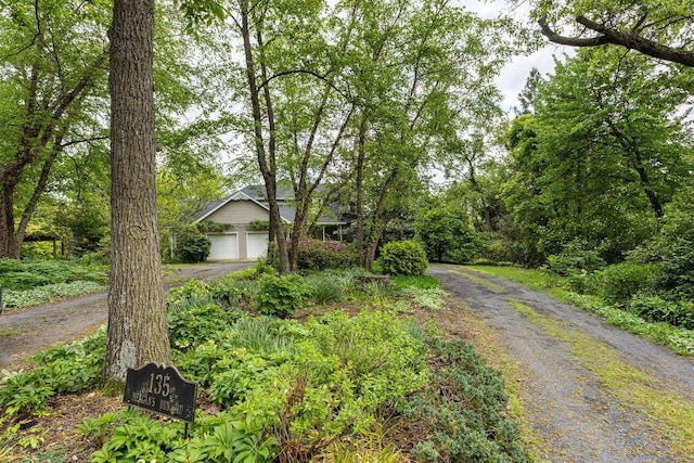 135 Meagans Run Rd, Woodstock, VA 22664 - view of property hidden behind natural elements featuring driveway and a garage