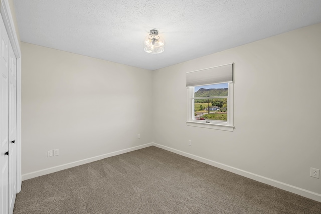 10304 Spotswood Trl, Mcgaheysville, VA 22840 - carpeted spare room featuring baseboards and a textured ceiling