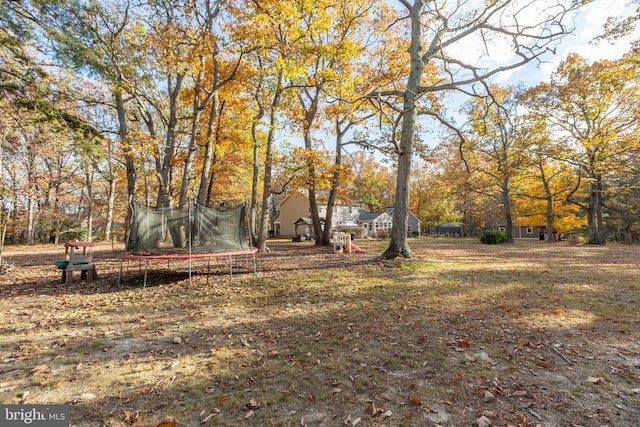 13224 Autumn Ln, Spotsylvania, VA 22553 - photo 55