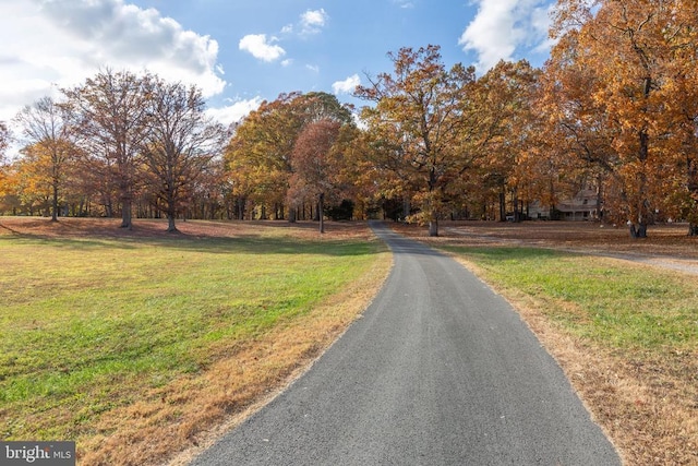 13224 Autumn Ln, Spotsylvania, VA 22553 - photo 71