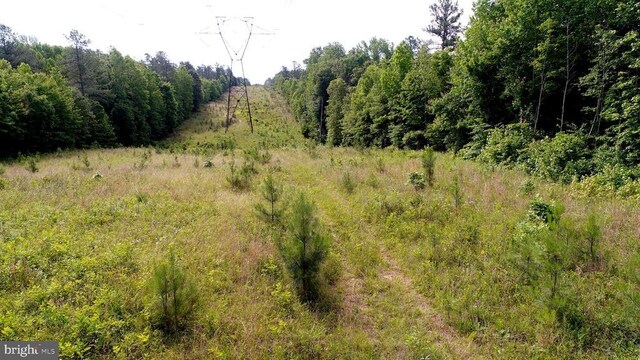 13251 Brooke Ridge Ln, Spotsylvania, VA 22551