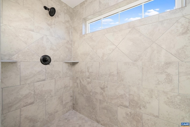 121 Yates Cir, Stanardsville, VA 22973 - interior details featuring tiled shower