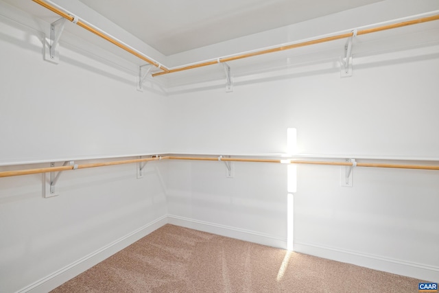 121 Yates Cir, Stanardsville, VA 22973 - walk in closet featuring carpet flooring