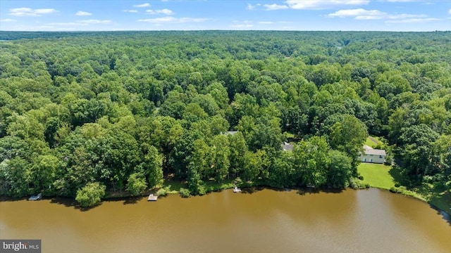 12803 Lake Wilderness Ln, Spotsylvania, VA 22551 - photo 37