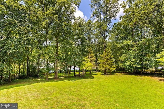 12803 Lake Wilderness Ln, Spotsylvania, VA 22551 - photo 62