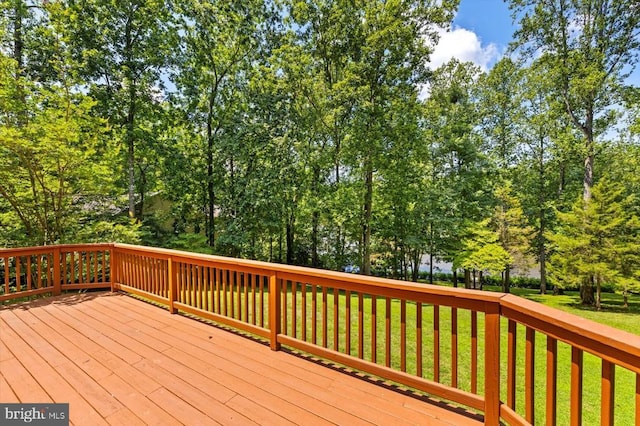 12803 Lake Wilderness Ln, Spotsylvania, VA 22551 - photo 61