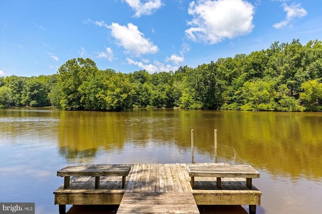 12803 Lake Wilderness Ln, Spotsylvania, VA 22551 - photo 55