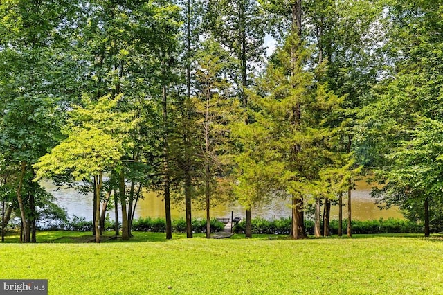 12803 Lake Wilderness Ln, Spotsylvania, VA 22551 - photo 50
