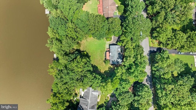 12803 Lake Wilderness Ln, Spotsylvania, VA 22551 - photo 36